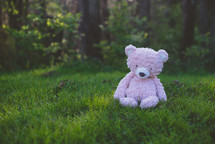 lost teddy bear in the grass