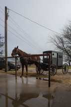 Horse with carriage