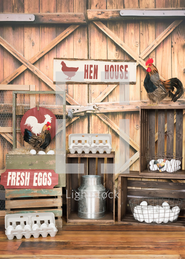 Hen House and country motif 
