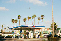 tall palm trees and a gas station 