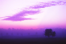 purple sky at sunset 