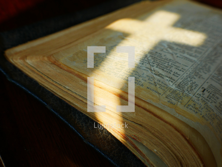 light in the shape of a cross on pages of a Bible 