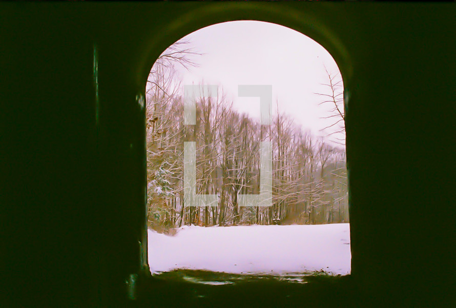 view of a winter forest through a window 