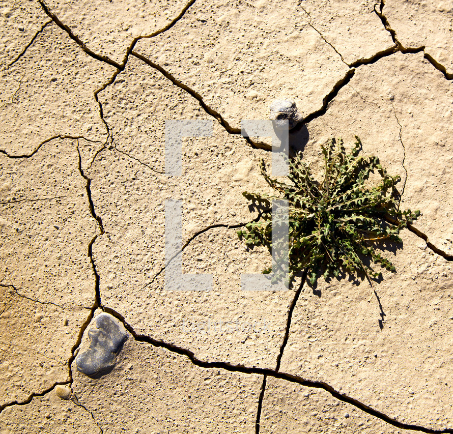 cracks in brown dry sand 