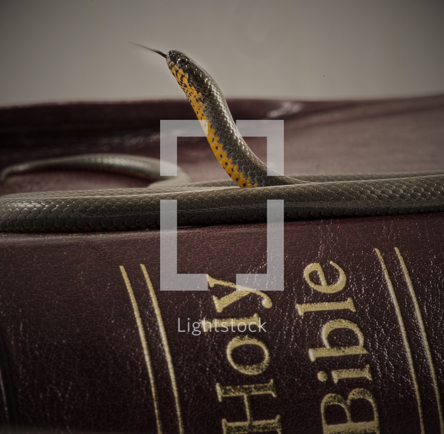 snake on a Bible 