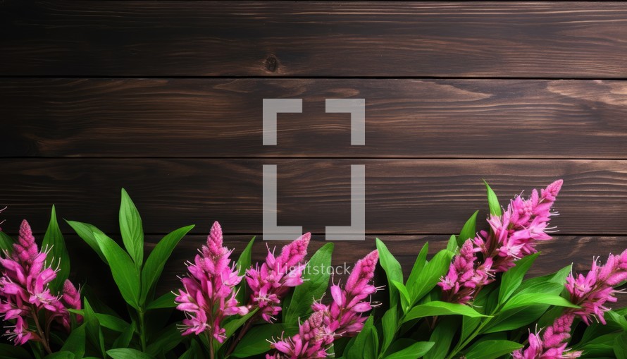 Pink flowers on a brown wooden background. Top view with copy space.