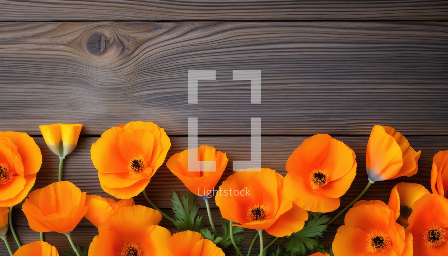 Orange poppies on wooden background. Top view with copy space
