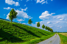 guard rail, trees, green, hill, grass, blue sky, summer, clouds, rural road