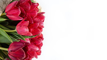 Top view of red bouquet tulips isolated on white with empty place for your text
