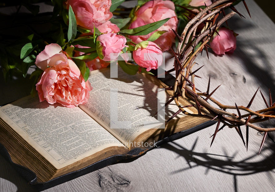 Pink Peony Flowers, opened Bible,  and crown of thorns on wood background 