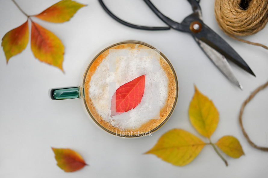 Autumn Cafe Latte Cup from Above