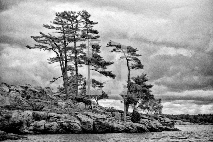 trees on the sea shore 