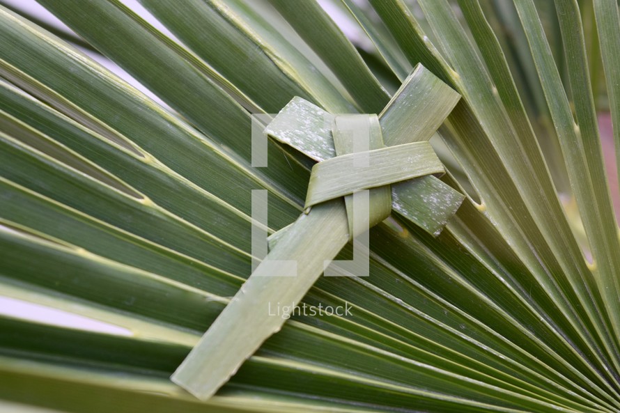palm cross on a palm frond 