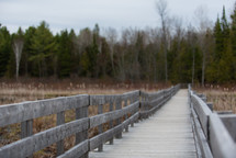 wooden boardwalk over a marsh 