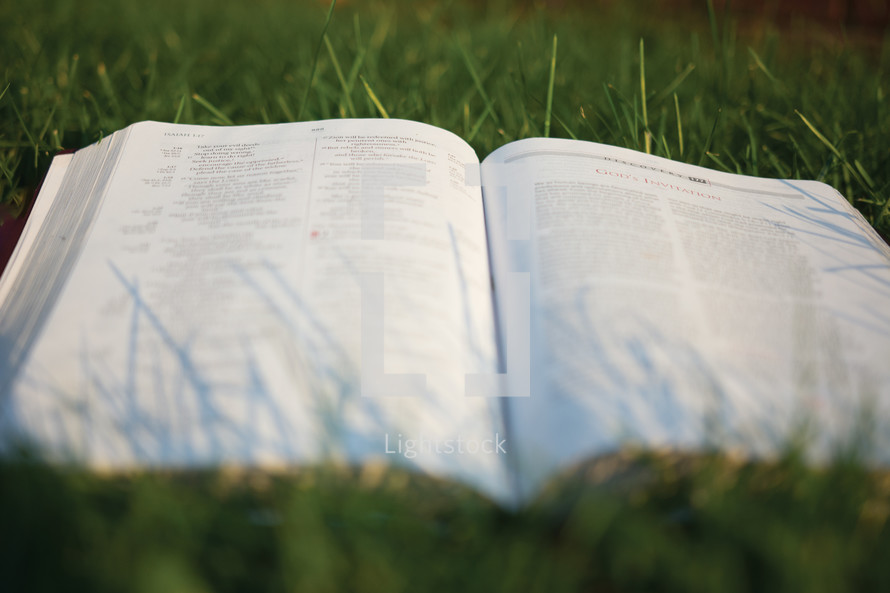 A Bible lying in the grass 