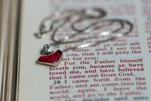 heart necklace on the pages of a Bible, For the father himself loveth you