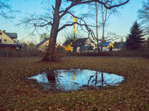 reflection in a puddle 