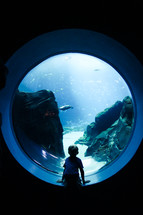 boy child looking at fish in an aquarium 
