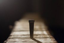 A Nail in a cross.