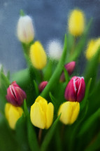 Abstract Colorful tulips Through Blurred Glass in frame