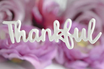 word thankful over pink flowers 
