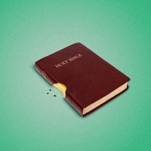 Bite out of a Bible and three seeds 