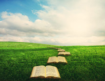 Books that form stepping stones 