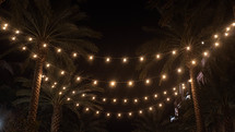 hanging lights between palm trees 