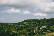tropical landscape 