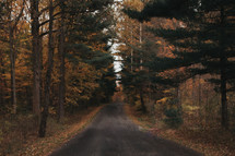 road through an Autumn forest 