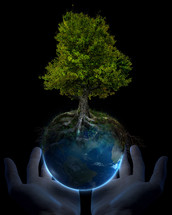 God's hands holding Earth and a tree