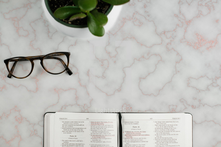 reading glasses, open Bible, and potted plant 
