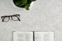 reading glasses, potted plant, and open Bible on a desk