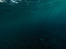 under ocean water 