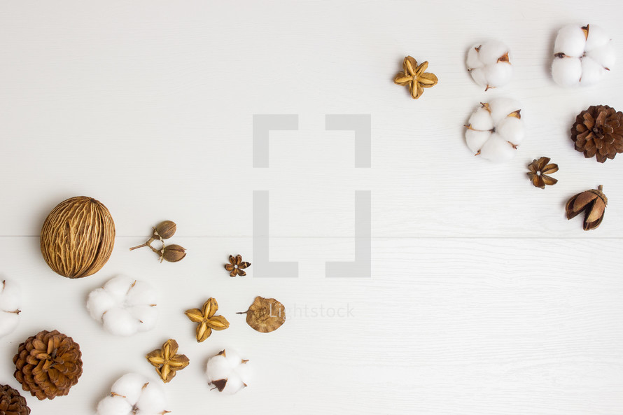 pine cones and cotton on a white background 