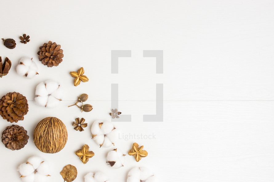 pine cones and cotton on a white background 