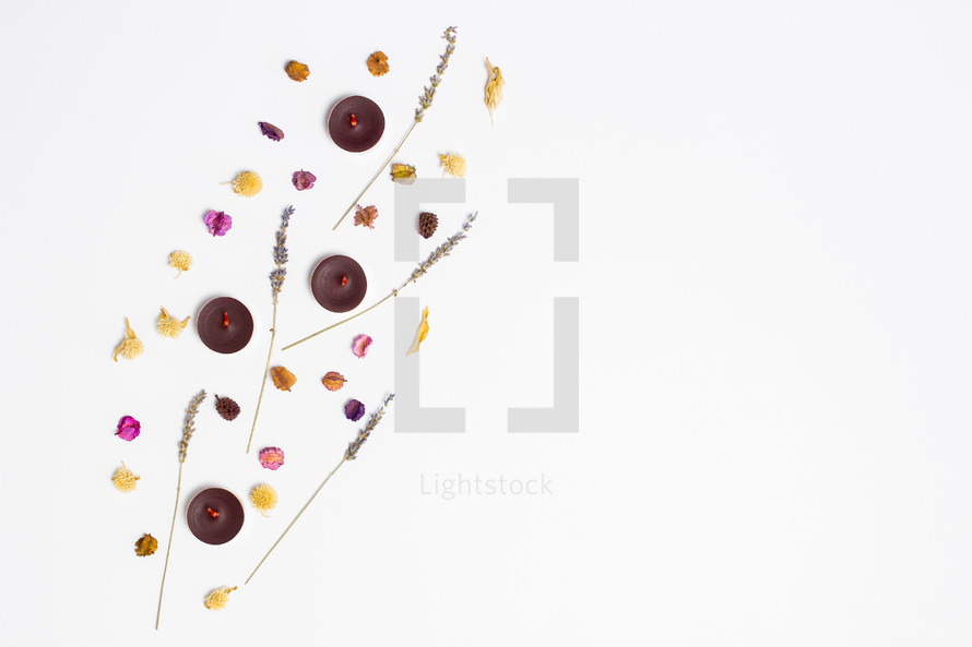 candles and plant pieces on a white background 