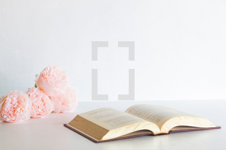 peach peonies and open Bible 