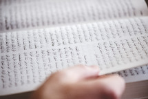 a man sitting reading the Tanakh