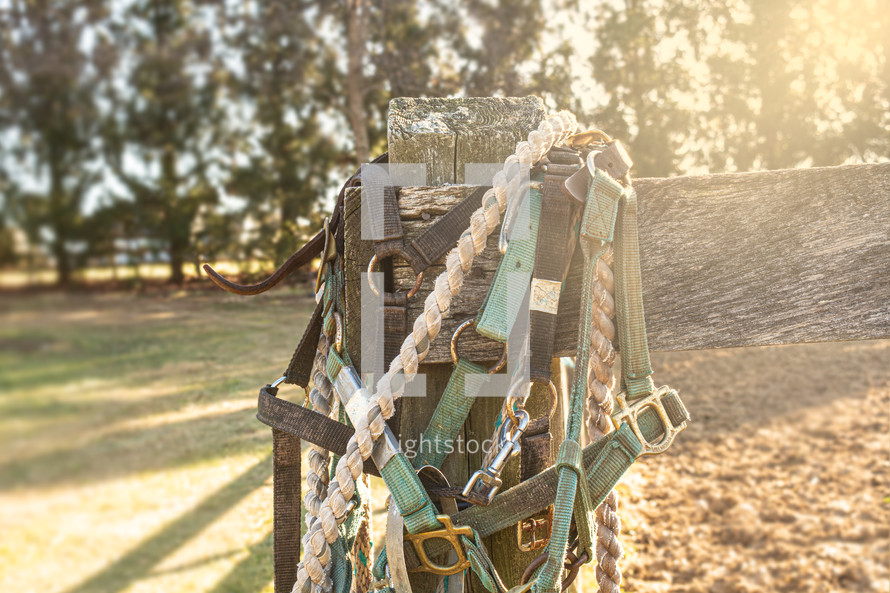 harnesses on a fence post 
