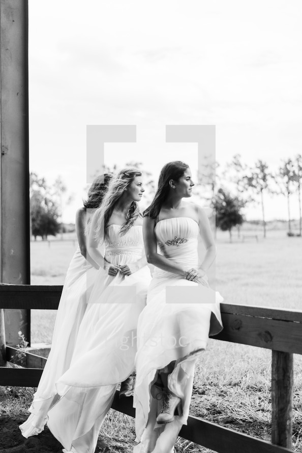 bride and bridesmaids sitting on a fence 