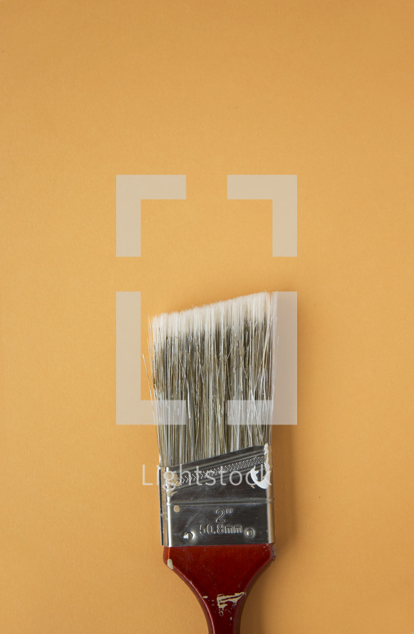 a single paint brush 