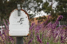 rusty mailbox and purple flowers 