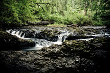 a flowing creek at SIlver Falls