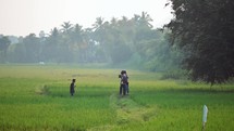 Rice fields in a small village outside of the city of  Vizag Visakhapatnam, India