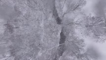 Birds eye view looking down at trees and a creek during a snowstorm in winter.