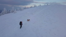 Aerial Men with dogs hiking in winter mountains at sunset