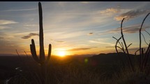 Sunset timelapse beyond a large Saguaro cactus
