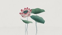 Chinese retro painting style lotus illustration.
