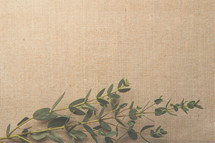 green leaves on a linen background 